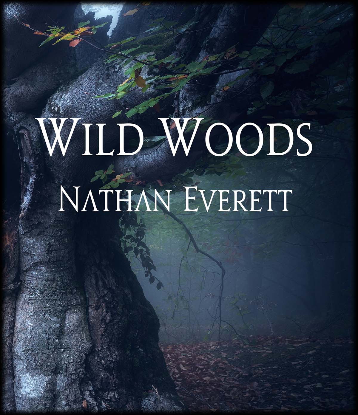 wild woods cover