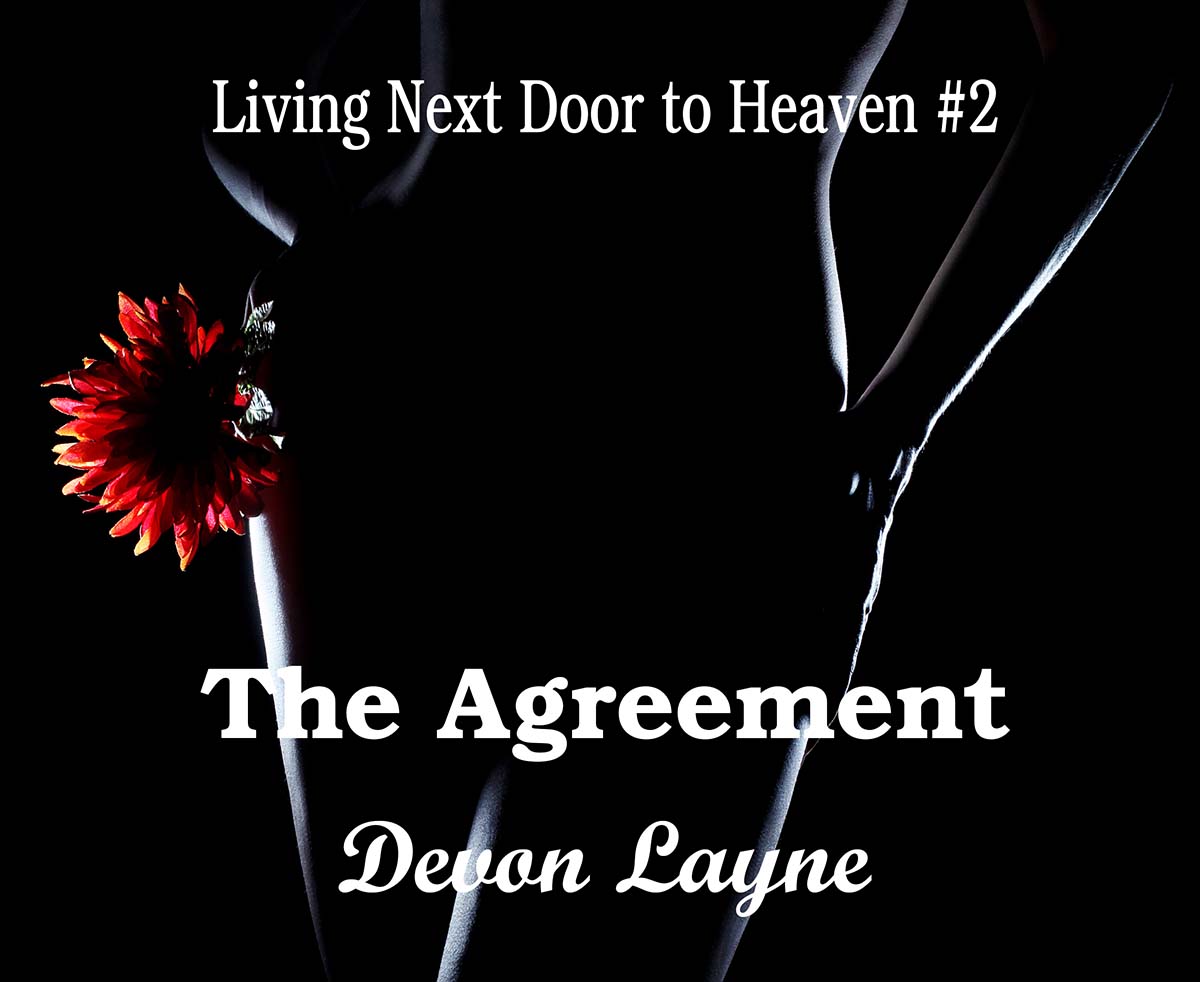 The Agreement cover