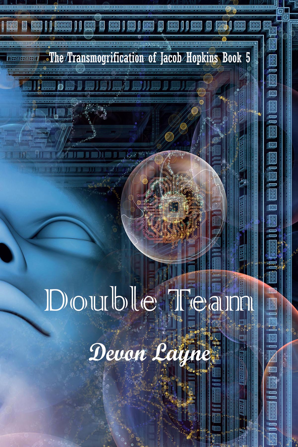 cover of Double Team