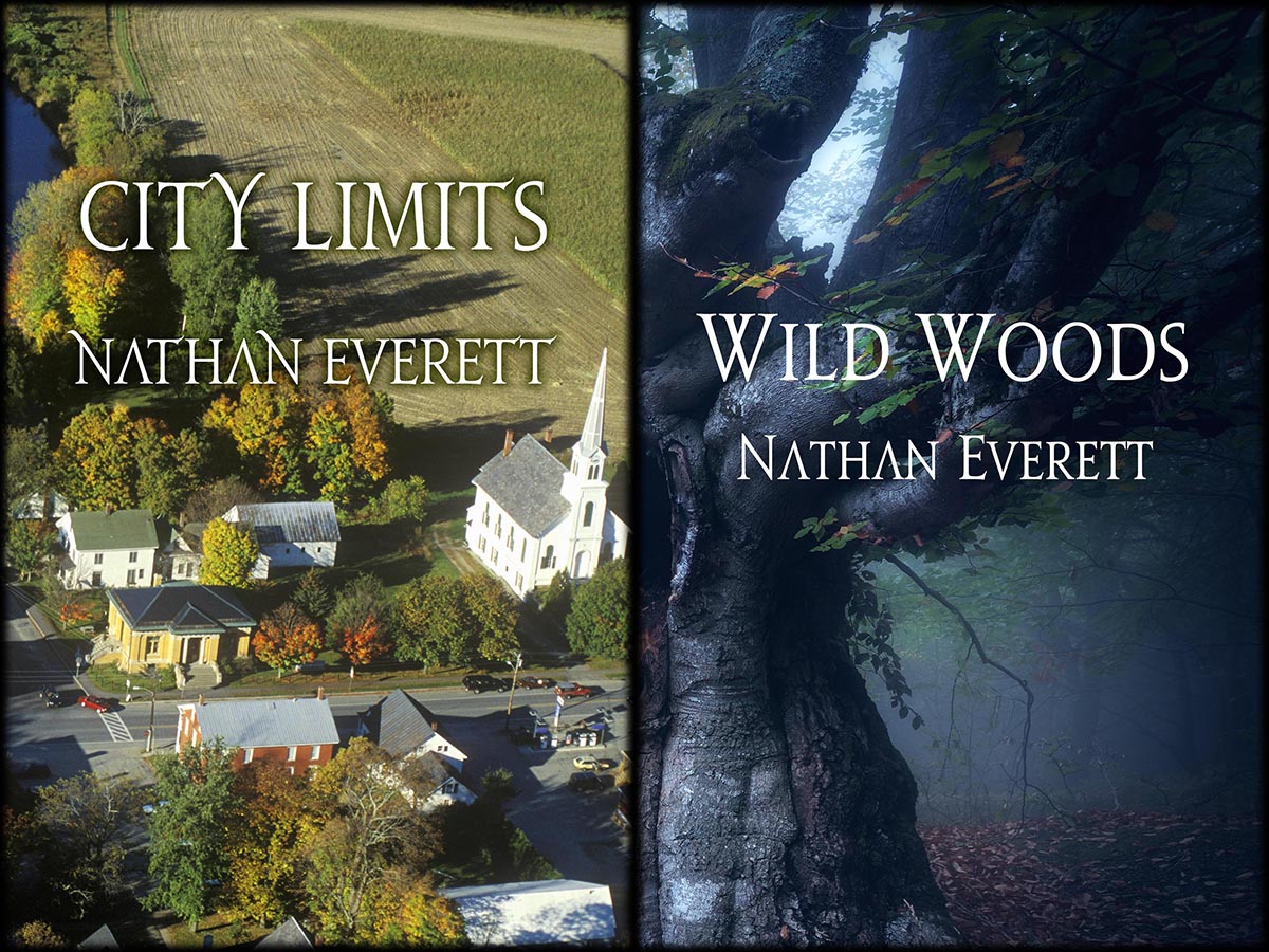 Covers of City Limits and Wild Woods